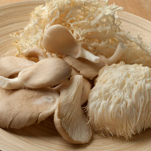 All In One Functional Mushrooms (Bulk) MOQ =5