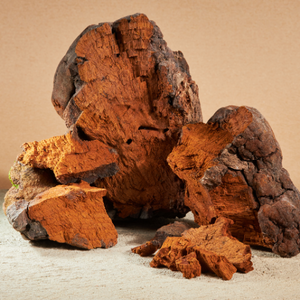 Chaga (Bulk) MOQ =5