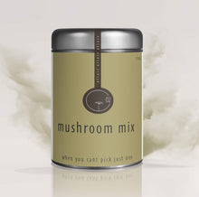 Load image into Gallery viewer, Mushroom Mix (Bulk Wholesale)
