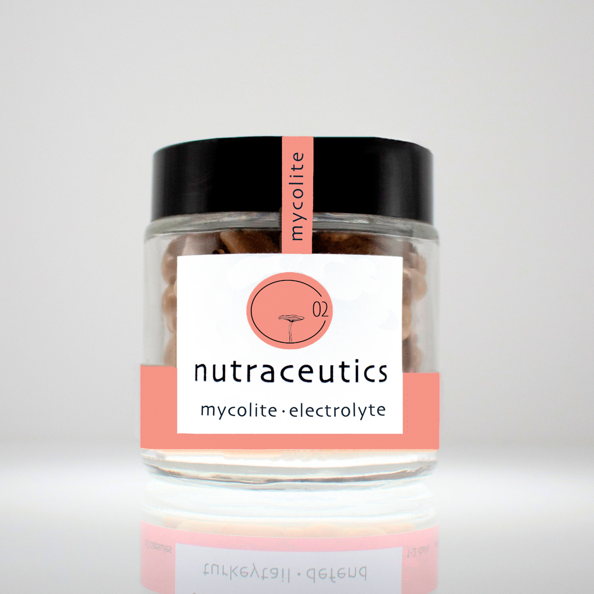 Mycolite Mushroom Powder | CO2