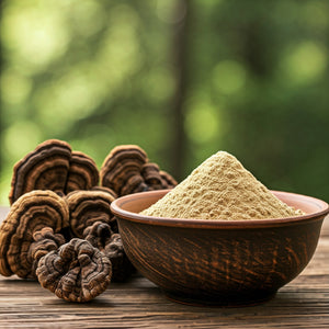 Turkeytail Powder: 500g